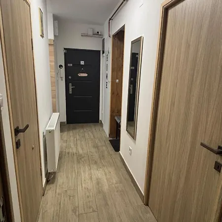Apartment Platan
