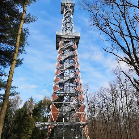 Platan * Nagykanizsa